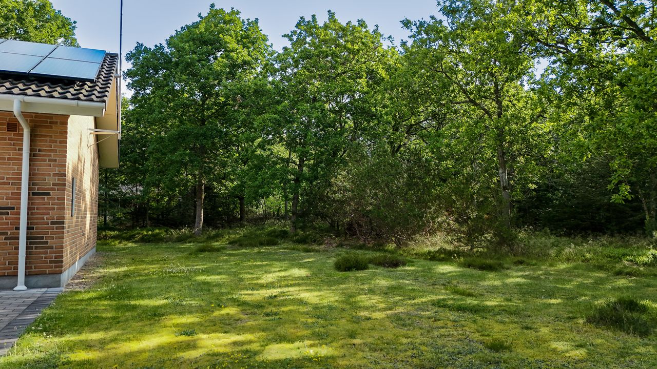 image 03