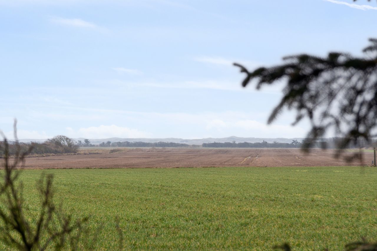 image 04